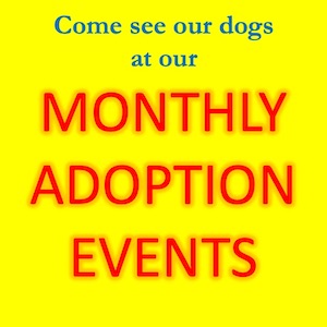 Monthly Adoption Event